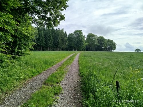 Leininger Odenwaldrunde