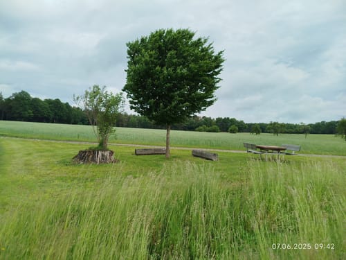 Leininger Odenwaldrunde