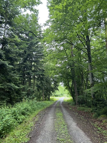 Hagenschieß