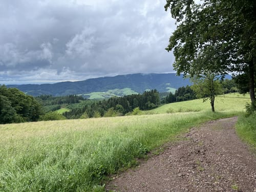 Harmersbacher Vesperweg (Genießerpfad)