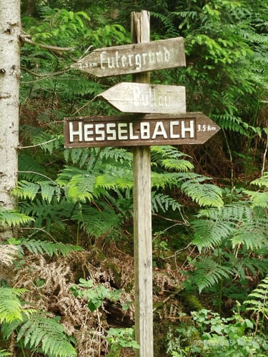 Leininger Odenwaldrunde