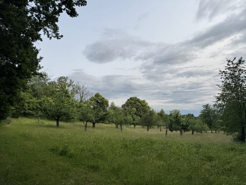 Rundwanderweg Darmstadt 1: Ludwigshöhen-Weg