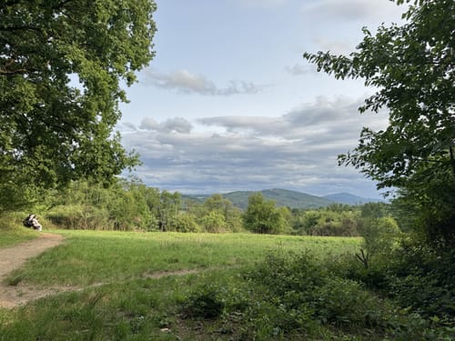 Rundwanderweg Darmstadt 1: Ludwigshöhen-Weg
