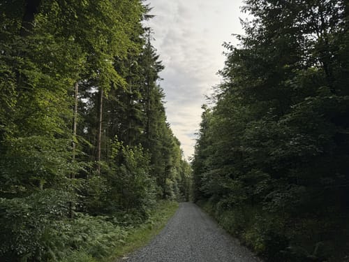 Rundwanderweg Darmstadt 1: Ludwigshöhen-Weg