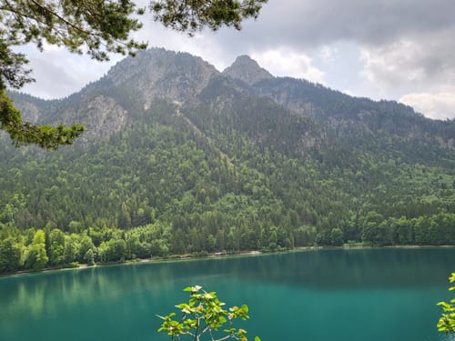 Alpsee Rundweg