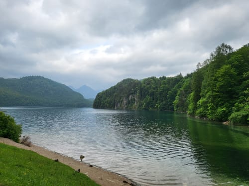 Alpsee Rundweg