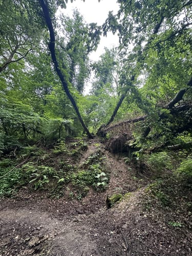 Vallendar: Wanderweg 09