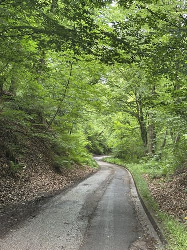 Vallendar: Wanderweg 09