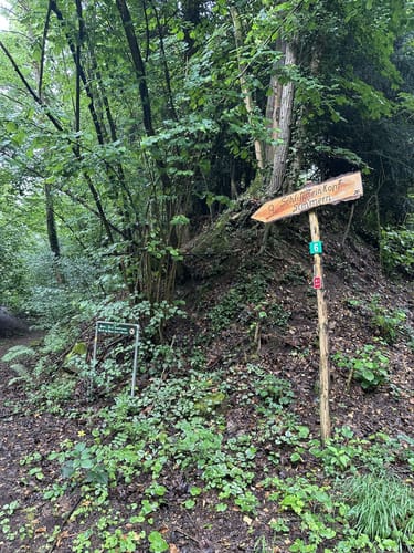 Vallendar: Wanderweg 09