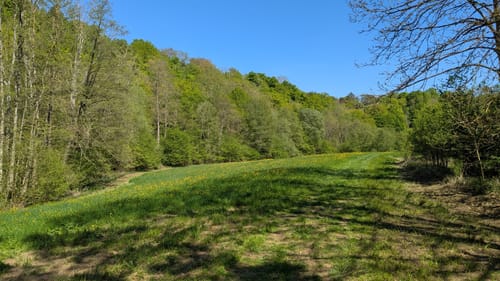 Aurich: Großglattbach - Kreuzbach
