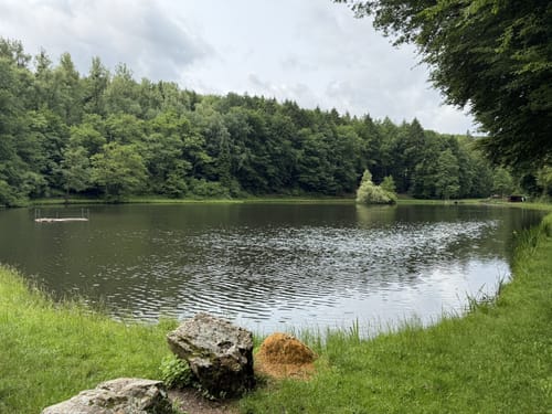 Naturschutzgebiet Theißtal und Waldsee ab Niedernhausen