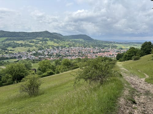 HOCHGEHBERGE I "hochgehkeltert" (Premiumwanderweg)