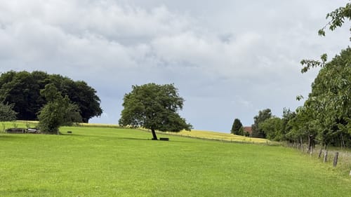 Kronensee und NSG Beutling ab Wanderparkplatz Noller Schlucht
