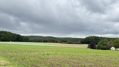 Kronensee und NSG Beutling ab Wanderparkplatz Noller Schlucht