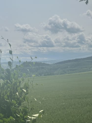 Traumpfädchen Kleiner Stern (Premiumspazierwanderweg)