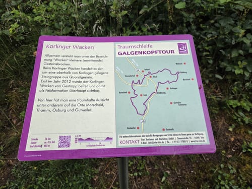 Trierer Galgenkopftour (Traumschleife)