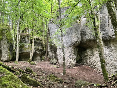 Der Karstkundliche Wanderpfad