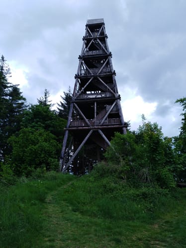 Weserbergland-Weg Etappe 7: Stadtoldendorf - Bodenwerder