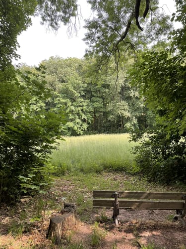 Kreischa - Wilisch -Teufelsmühle