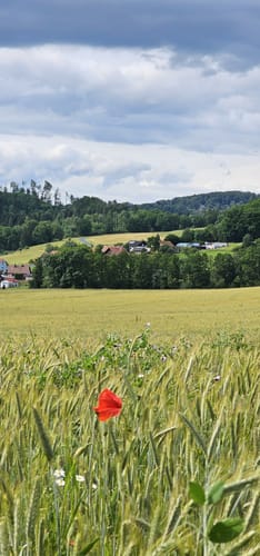 Drei-Burgen-Weg