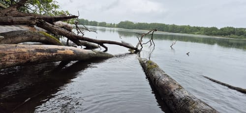 Zum Ahrensee
