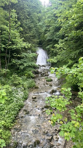 Feichteck