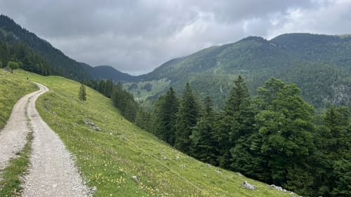 Feichteck