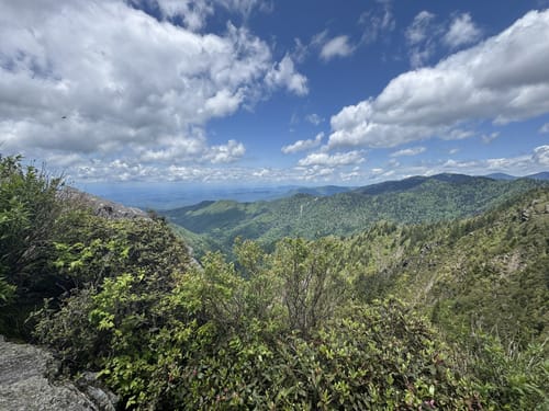 Old Black - hikes and trails to get you there | AllTrails