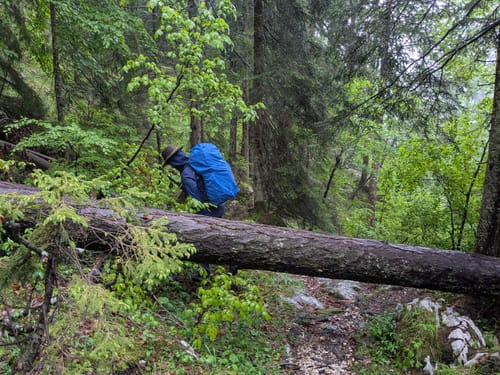 Reiter Alm über Wachterlsteig