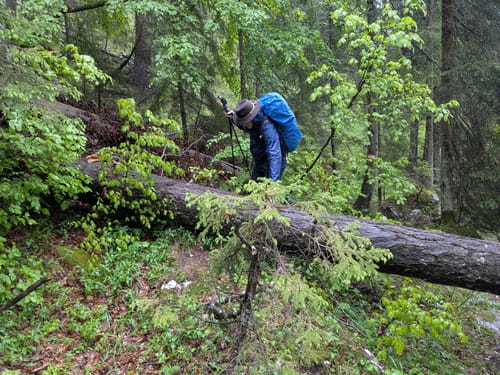 Reiter Alm über Wachterlsteig