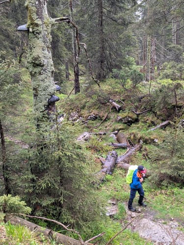 Reiter Alm über Wachterlsteig