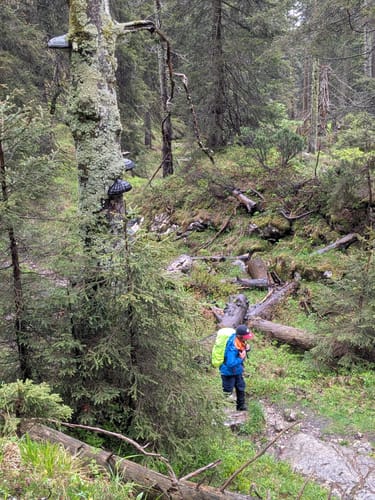 Reiter Alm über Wachterlsteig