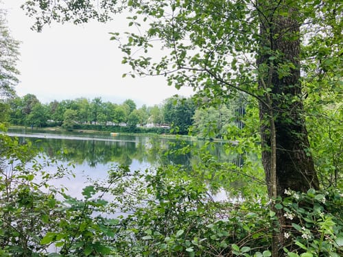Rund um den Hammersee