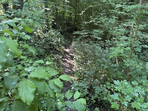 Bächlingen - Oberregenbach - Langenburg