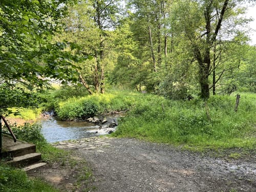 WesterwaldSteig Etappe 12: Weyerbusch - Flammersfeld