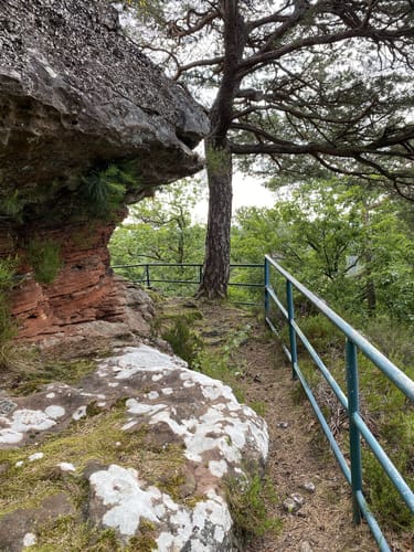 Münchweiler Wildsaufelsen