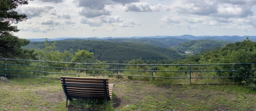 Münchweiler Wildsaufelsen
