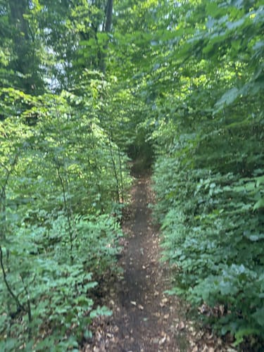 Erlebnispfad Untergruppenbach