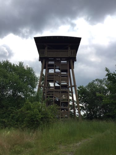 Weingut Reifert Runde von Mücheln (Geiseltal)