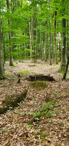 Rundweg Tettingen-Butzdorf