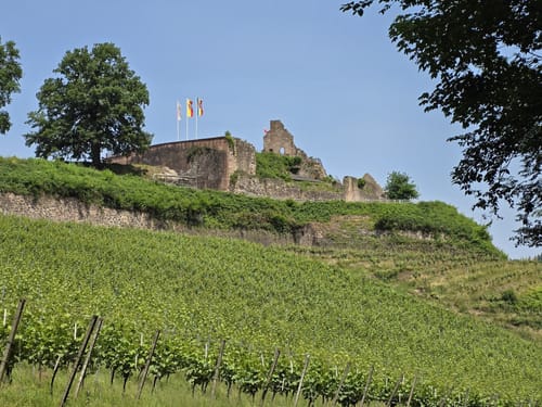 Rund um den Hornwald und die Hochburg