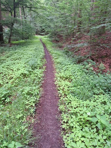 Rundstrecke Amorbach