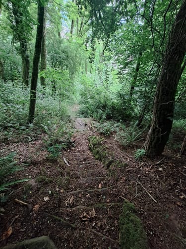 Rundstrecke Amorbach