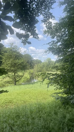Ihlwald - Runde