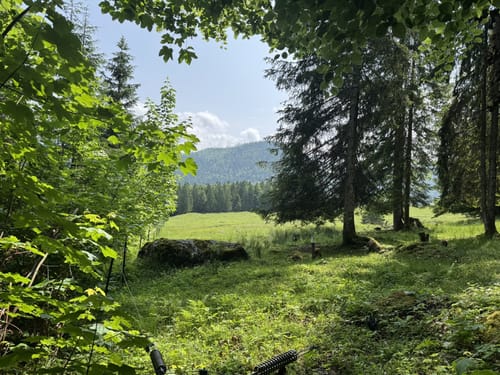 Seegatterl - Nattersbergalm - Hindenburghütte