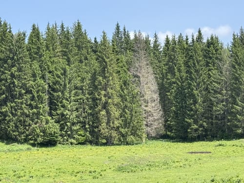 Seegatterl - Nattersbergalm - Hindenburghütte