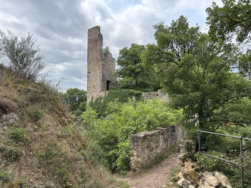 Rheingrafenstein (VitalTour)
