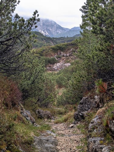 Reiter Alm über Wachterlsteig