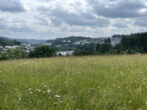 Lieserpfad Etappe 1: Boxberg - Daun