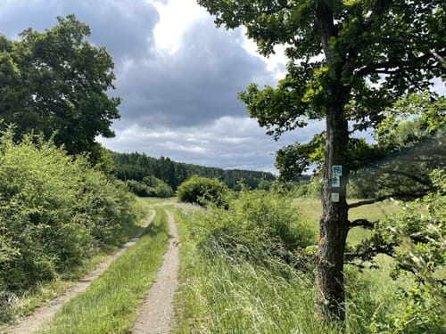 Lieserpfad Etappe 1: Boxberg - Daun